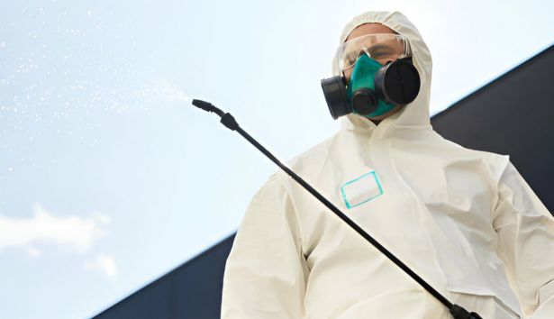 Pest Control Cranbourne